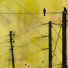 ..Untitled #51<br>Photo Encaustic<br>23 x 23 inches 